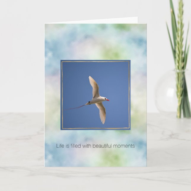 Aqua Blue Green Hawaii Ocean Bird Card (Front)