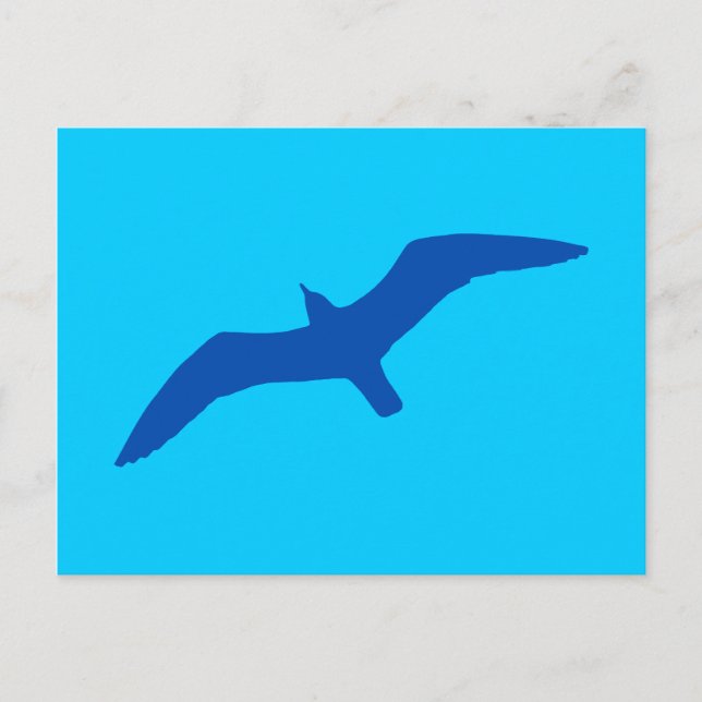 Aqua Blue Gull Postcard (Front)