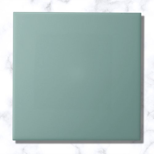 Aqua Blue Solid Color Ceramic Tile