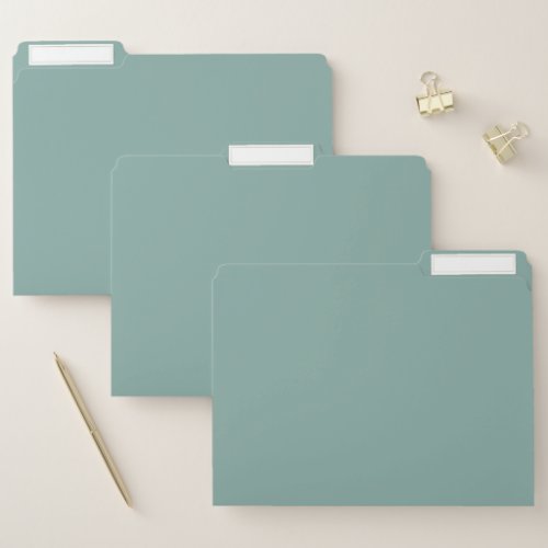 Aqua Blue Solid Color File Folder