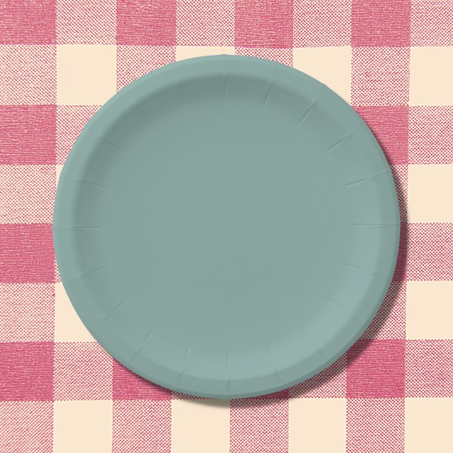 Aqua Blue Solid Color Paper Plates (Creator Uploaded)
