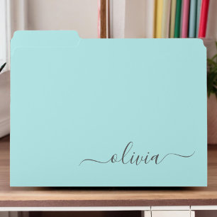 Aqua Blue Teal Modern Script Girly Monogram Name File Folder