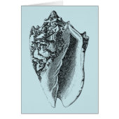 Aqua Conch Shell Cards (Front)