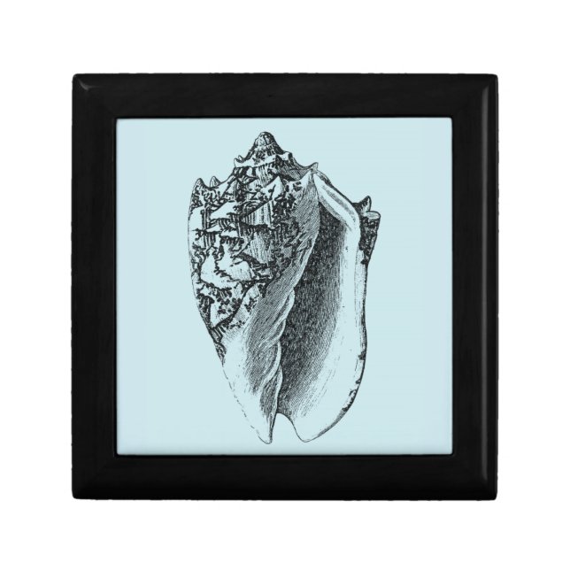 Aqua Conch Shell Keepsake Box (Front)