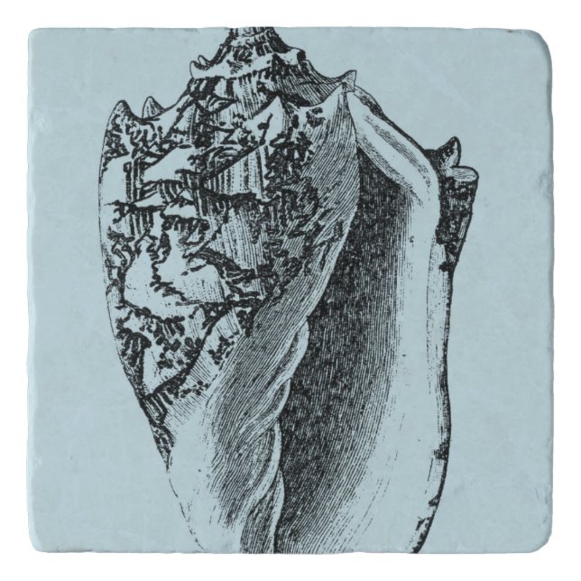 Aqua Conch Shell Trivet (Front)