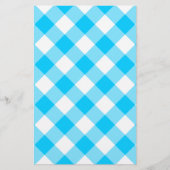 Aqua Gingham Pattern (Front)