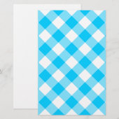 Aqua Gingham Pattern (Front/Back)
