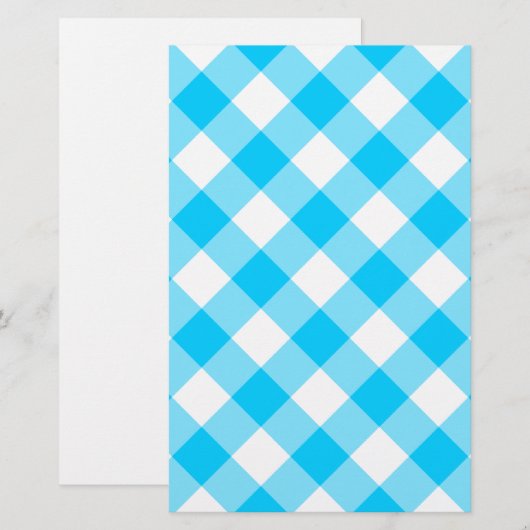 Aqua Gingham Pattern (Front/Back)