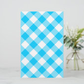 Aqua Gingham Pattern (Standing Front)