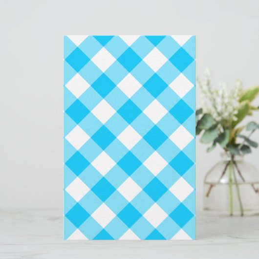 Aqua Gingham Pattern (Standing Front)