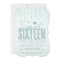 Aqua Glitter Look Sweet 16 (Sixteen) Party