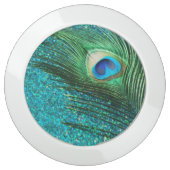 Aqua Peacock USB Charging Station (Front)