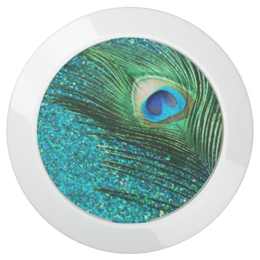 Aqua Peacock USB Charging Station (Front)