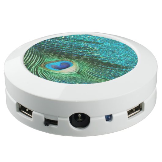 Aqua Peacock USB Charging Station (Angled Back)