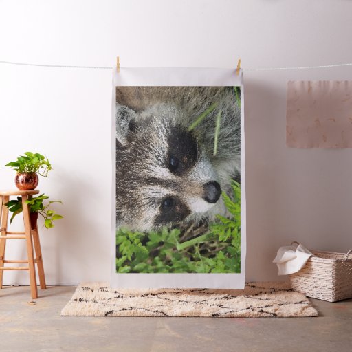 Aqua_Raccoon_20180101 Fabric