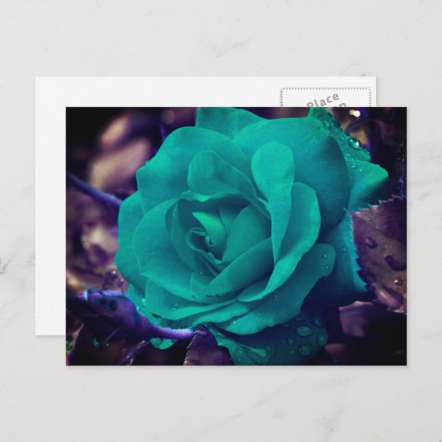 Aqua Rose Flower Personalized Postcard (Front/Back)