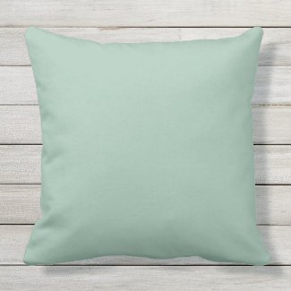 Aqua Sage Color Matched Outdoor Pillow