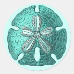 Aqua Sand Dollar Classic Round Sticker