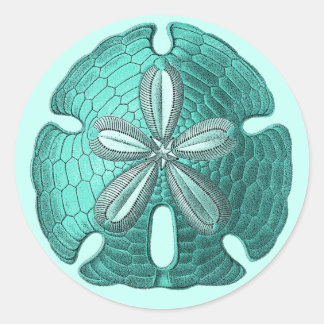 Aqua Sand Dollar Classic Round Sticker
