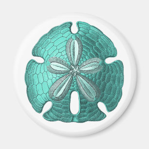 Aqua Sand Dollar Magnet