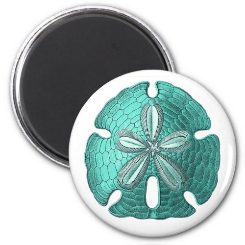 Aqua Sand Dollar Magnet