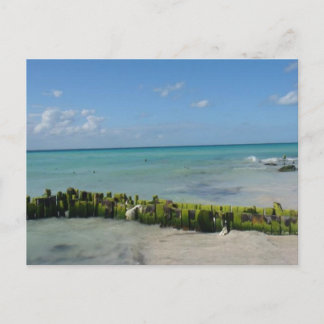 Aqua Serenity Postcard