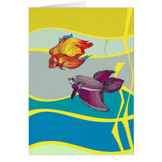 Aqua Sparring Betta Fish Cards (Front)