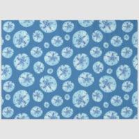 Aqua-teal blue sand dollar watercolor 