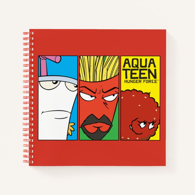 Aqua Teen Hunger Force Character Panel Graphic Notebook (Front)