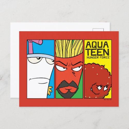 Aqua Teen Hunger Force Character Panel Graphic Postcard