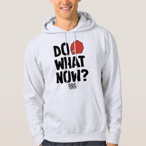 Aqua Teen Hunger Force Meatwad Do What Now Hoodie