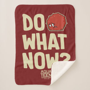 Aqua Teen Hunger Force Meatwad "Do What Now?" Sherpa Blanket