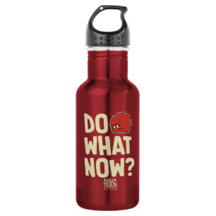 Aqua Teen Hunger Force Meatwad "Do What Now?" Stainless Steel Water Bottle