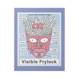 Aqua Teen Hunger Force Visible Frylock Poster