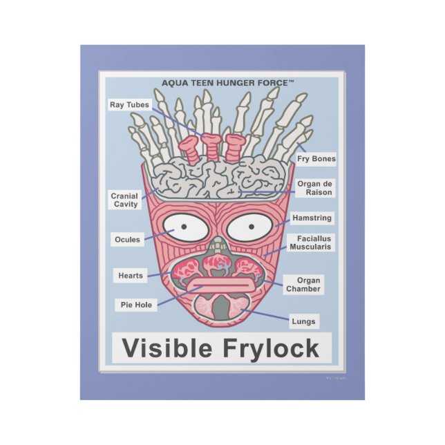 Aqua Teen Hunger Force Visible Frylock Poster (Front)