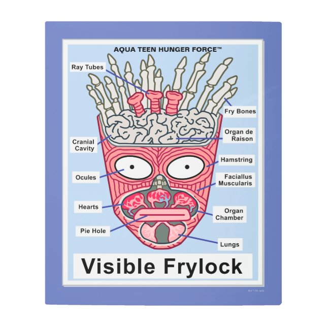 Aqua Teen Hunger Force Visible Frylock Poster (Front)