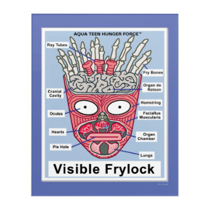 Aqua Teen Hunger Force Visible Frylock Poster Acrylic Print