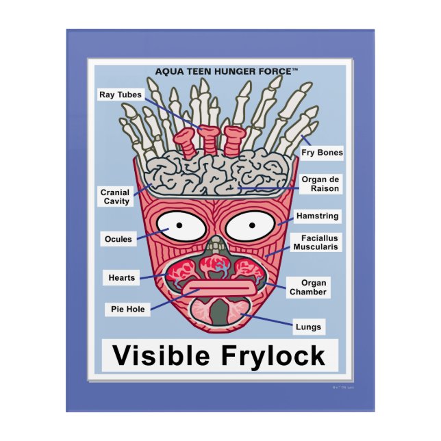 Aqua Teen Hunger Force Visible Frylock Poster Acrylic Print (Front)