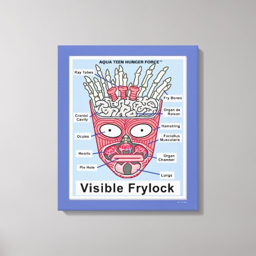 Aqua Teen Hunger Force Visible Frylock Poster Canvas Print
