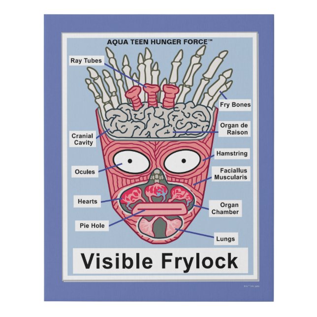 Aqua Teen Hunger Force Visible Frylock Poster Faux Canvas Print (Front)