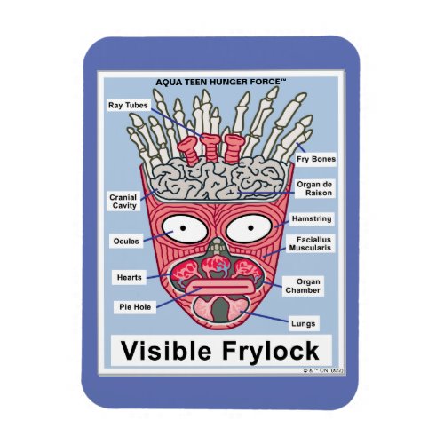 Aqua Teen Hunger Force Visible Frylock Poster Magnet
