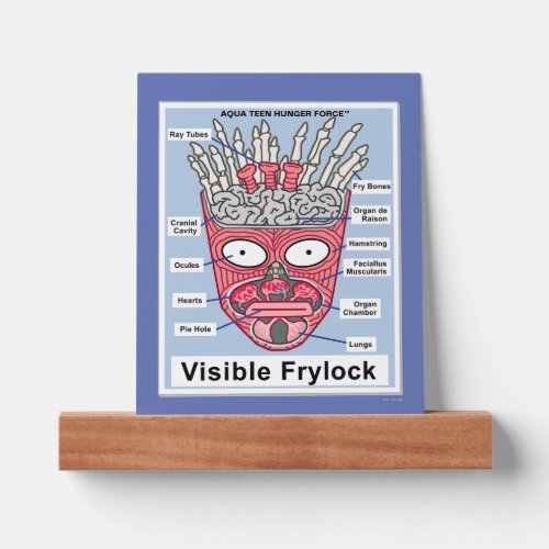 Aqua Teen Hunger Force Visible Frylock Poster Picture Ledge