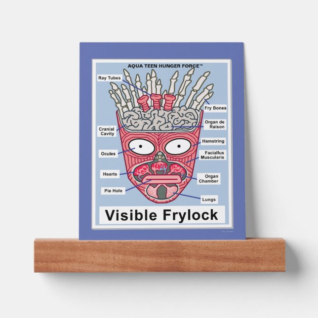 Aqua Teen Hunger Force Visible Frylock Poster Picture Ledge (Front)