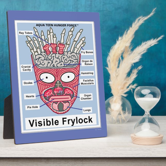 Aqua Teen Hunger Force Visible Frylock Poster Plaque (Side)