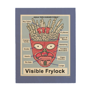 Aqua Teen Hunger Force Visible Frylock Wood Wall Art