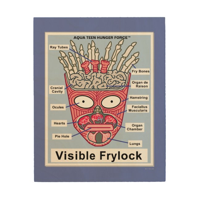 Aqua Teen Hunger Force Visible Frylock Wood Wall Art (Front)