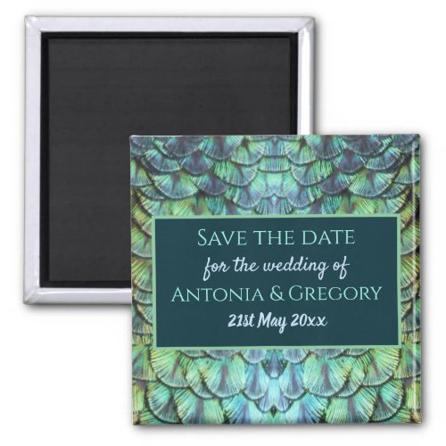 Aqua Vibrant Peacock Feathers Save the Date Magnet