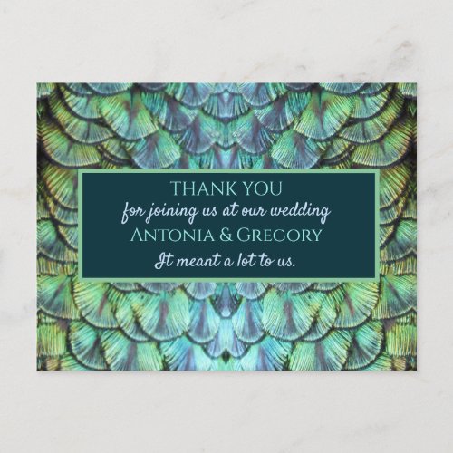 Aqua Vibrant Peacock Wedding Thank You Postcard