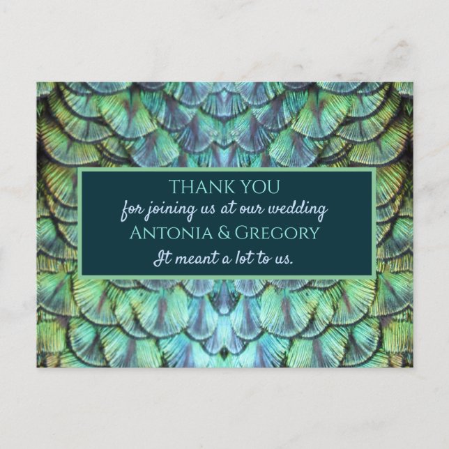 Aqua Vibrant Peacock Wedding Thank You Postcard (Front)