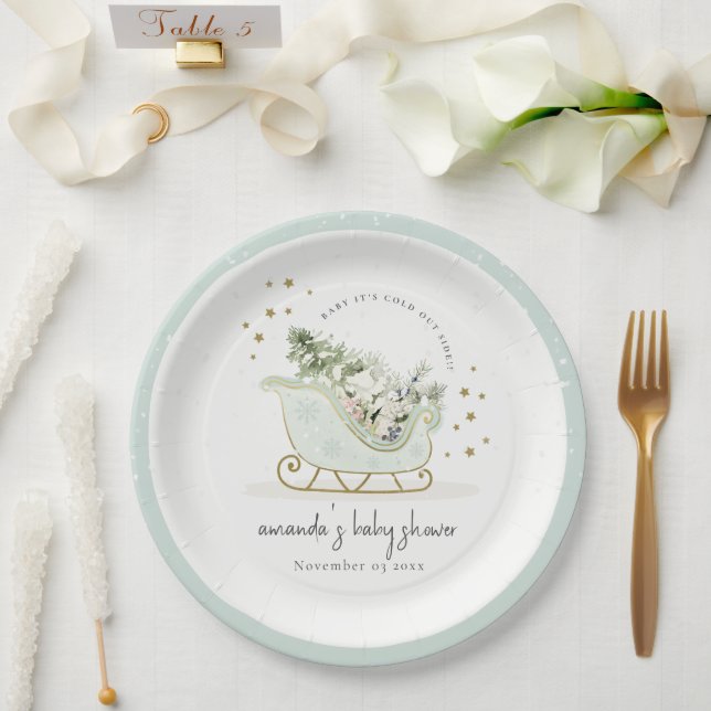 Aqua Winter Sleigh Its Cold Outside Baby Shower Paper Plates (Wedding)